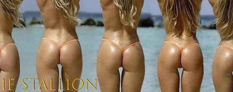 The Stallion cover 0.20 – Ren'Py adult game by Horny Saint free download